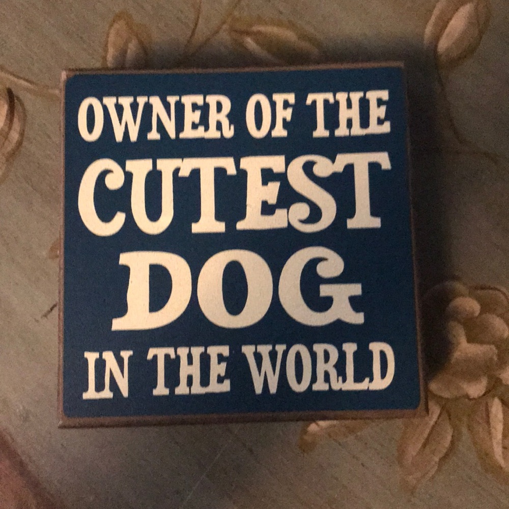 Fun bundle of 2 dog blocks